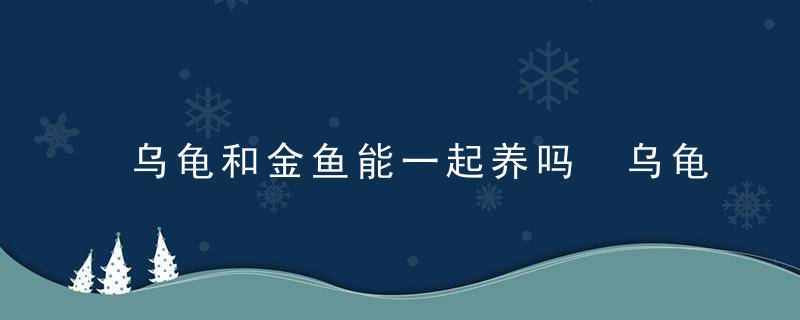 乌龟和金鱼能一起养吗 乌龟和金鱼可以一起养吗